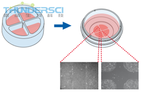 QQ&aring;?&frac34;&ccedil;??20190318144952 &aring;?&sup1;&aring;?&raquo;&aelig;??&auml;&raquo;&para;3&aring;&shy;? 4&aring;&shy;?.png
